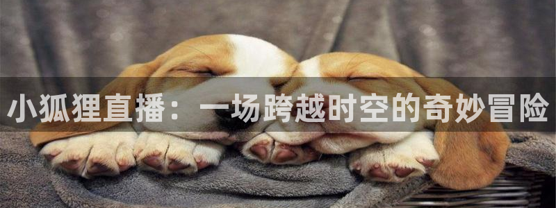 五星体育直播表：小狐狸直播：一场跨越时空的奇妙冒险